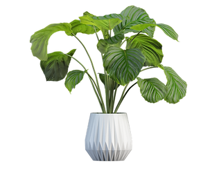 An accent image of a leafy plant in a white pot