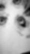 image2 (2).jpeg