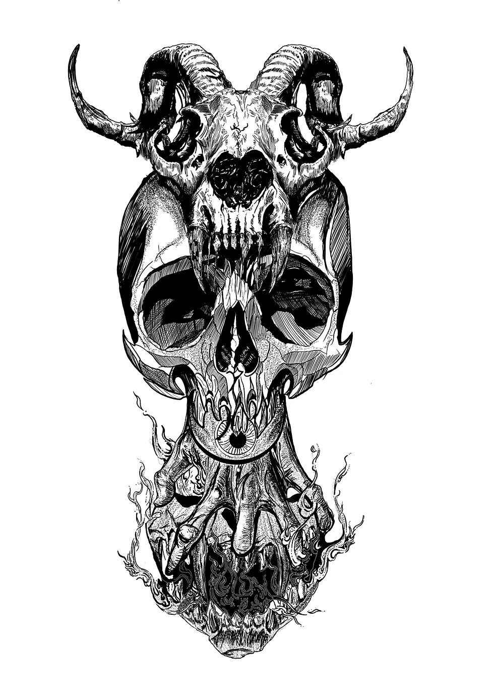 skulls