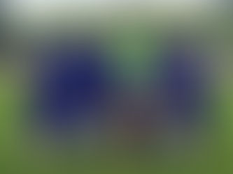 Academy Talents of Chelsea Women