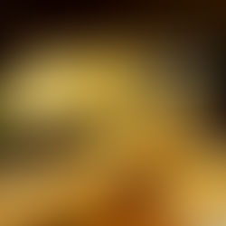 The Gift of Remembrance