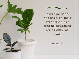 Two plants and biblical verse from James 4:4