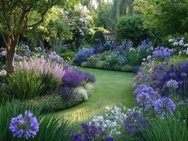 Summer Garden