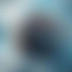 Noah Walked with God