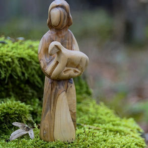 The Chosen Ones, Not the Choice Ones