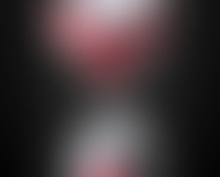 Giving Meaning to Life