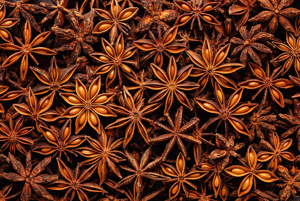 Chinese Star Anise