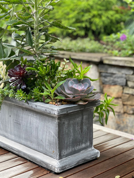 Gardens By Mardi - Craggy Park Garden