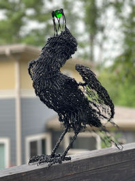 Gardens By Mardi - Craggy Park Garden