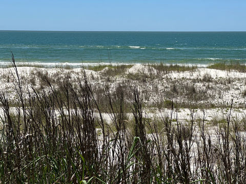 Golf Cart Rentals in Gulf County, FL | St. Joe Patio