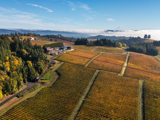 Anacapa Architecture, O’Brien & Co., Lucid Wild Vineyard, OR