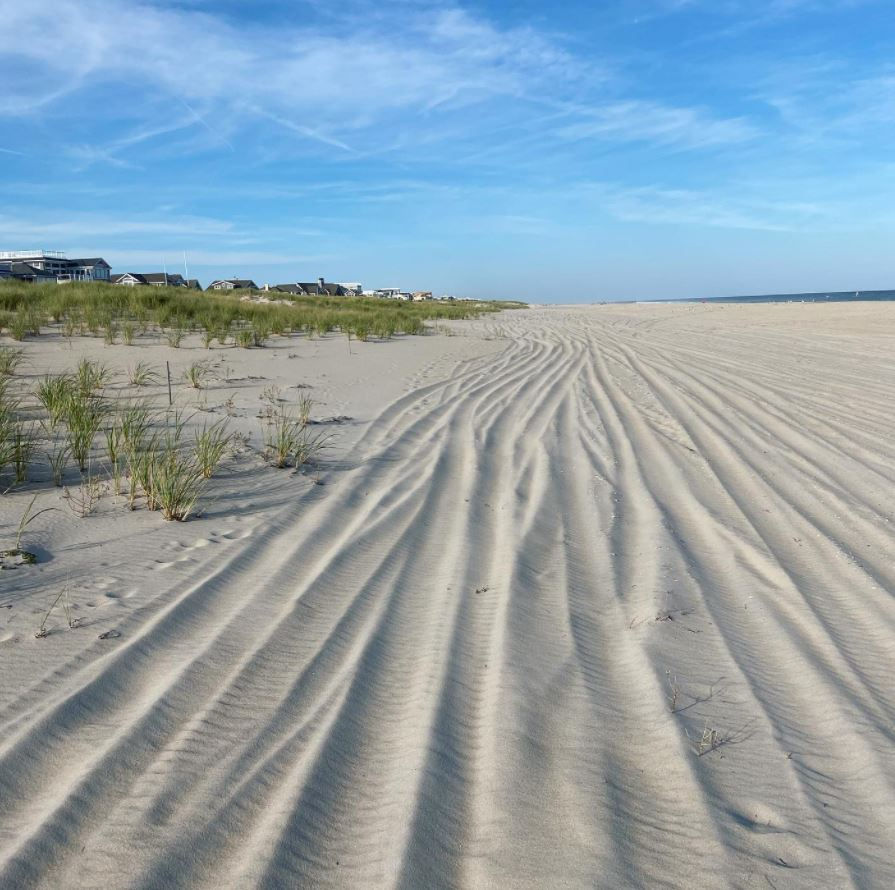 LBI Real Estate Market