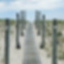 Buy LBI | Nathan Colmer | LBI Real Estate