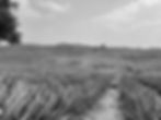 El Afan Tequila | Premium Tequila