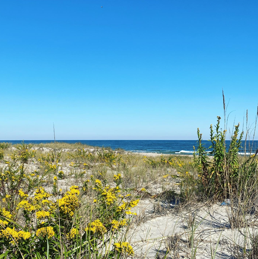  LBI Real Estate Weekly Sales Update 11-17-2024 to 11-24-2024