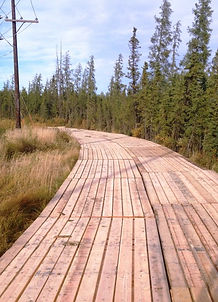Apex Industries | Forestry Mulching & Land Clearing in Berks County, PA | Site Prep
