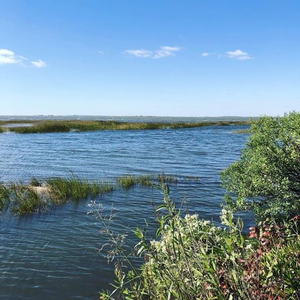 LBI Real Estate Market Spring Predictions