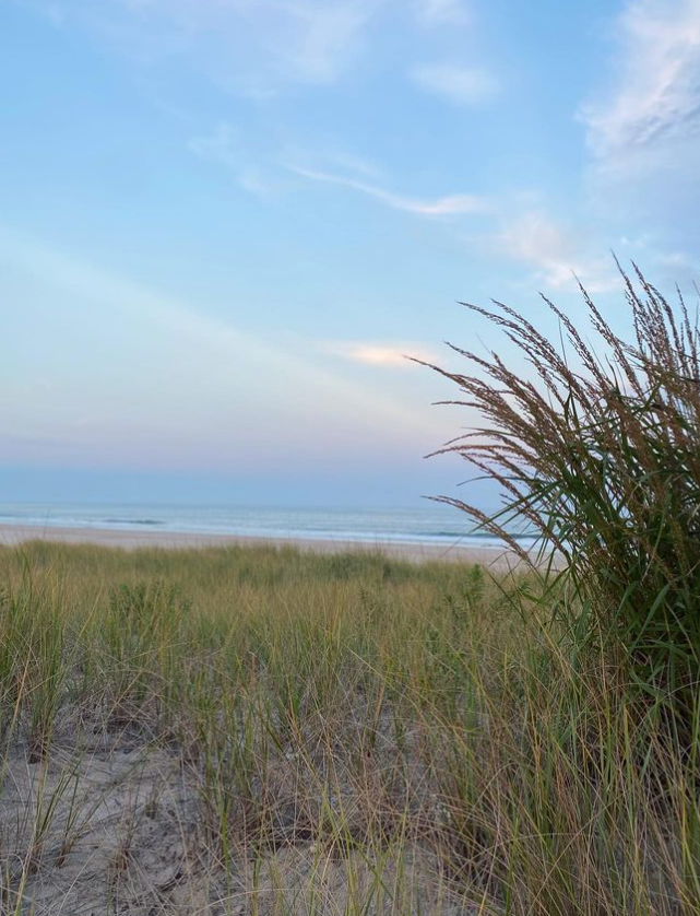 LBI Real Estate Daily Market Update June 19th 2024
