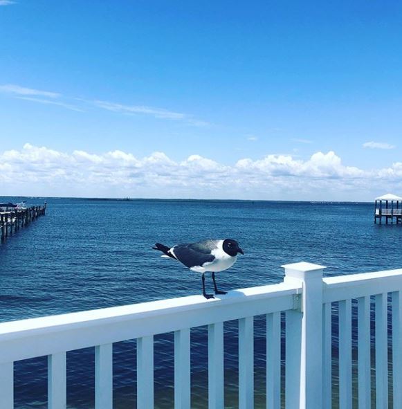 LBI Real Estate Daily Market Update June 8th 2023