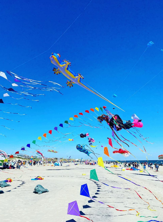 Life on LBI-LBI Kite Fest