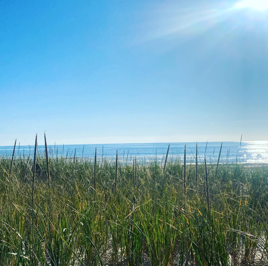 LBI Real Estate Market Listing Agent Selling Steps