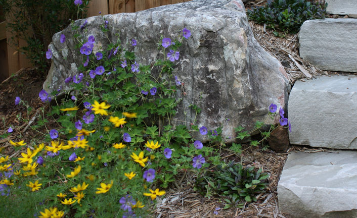 Gardens By Mardi - Urban Contemporary