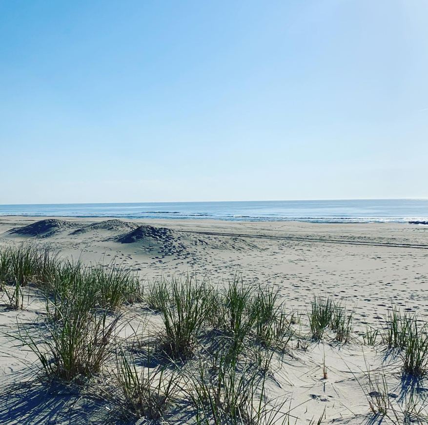 LBI Real Estate Daily Market Update July 16th 2024