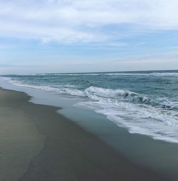 Peahala Park Real Estate Sales 2021