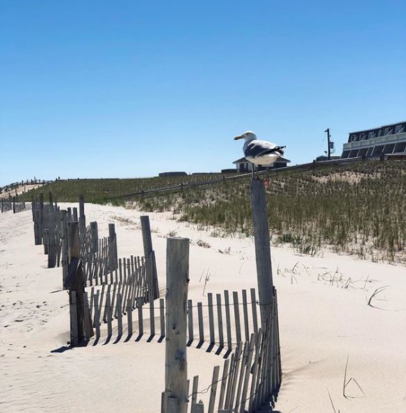 LBI Real Estate New Home Construction Update May 2023