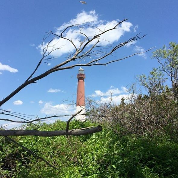 LBI Real Estate Weekly Sales Update 4/21/2019-4/28/2019