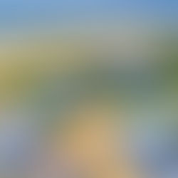 LBI Real Estate Market Weekly Sales Update: September 14–21, 2025