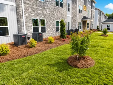Apartments for Rent in Georgia | MGVG Living