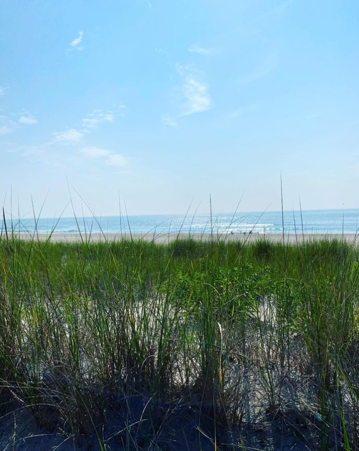 LBI Real Estate Daily Market Update June 11th 2024