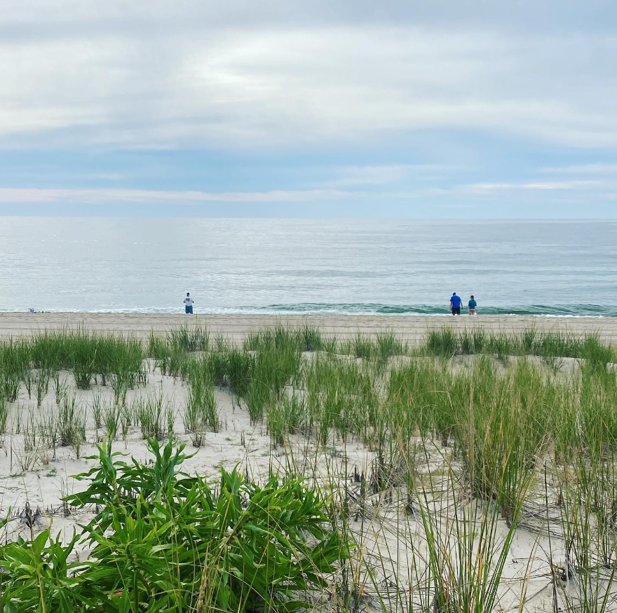 LBI Real Estate New Construction Update May 2024