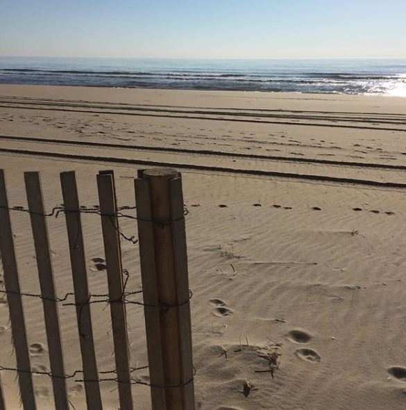 LBI Real Estate Daily Market Update January 11th 2023