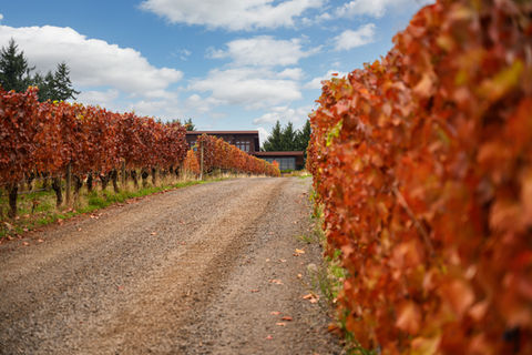 Diana Todorova Photography | Diana Todorova architectural photographer | architectural photography by Diana Todorova | professional architecture photographer | luxury architectural photography | contemporary architecture photography | modern residential architecture | commercial architecture photography | cultural and civic architecture photography | Miami architectural photographer | Fort Lauderdale architectural photography | Palm Beach architectural photographer | South Florida architecture photography | Florida architectural photographer | nationwide architectural photographer | architectural interior and exterior photography | architectural detail photography | design-driven architecture photography