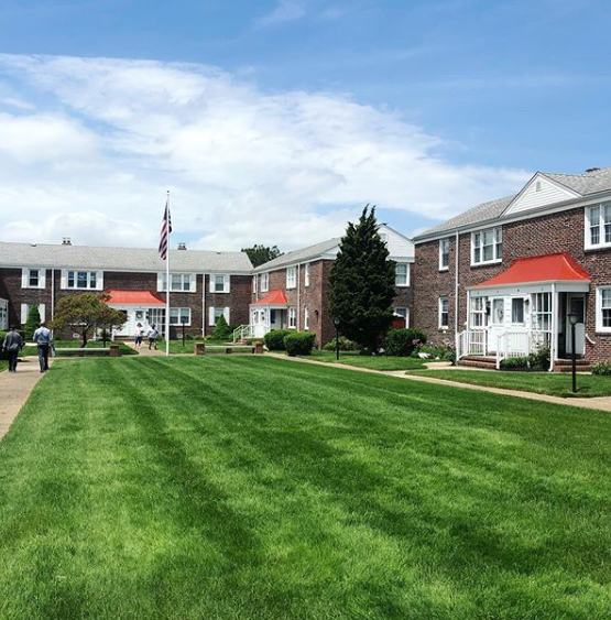 LBI Real Estate Co-Op
