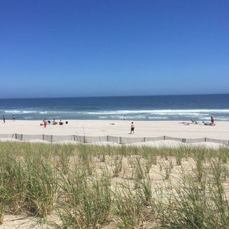 Brighton Beach Real Estate Sales 2019