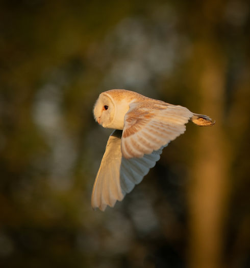 DSC_3801.JPG