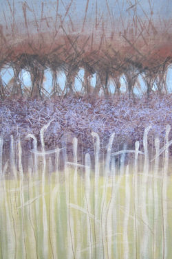 Winter Hedgerow