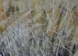Marsh Grasses