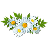 Download (4).png
