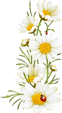 Download (2).png