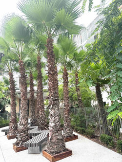Jardin Marenda Holiday Apartment