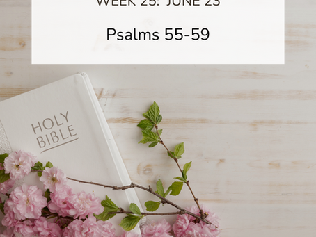 Weekly Devotion: Trusting God in the Storms of Life