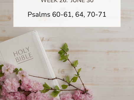 Weekly Devotion: Why Should I Praise God When I've Suffered Greatly?