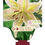 Thumbnail: LILIUM ORIENTAL TIGERMOON Oriental Lily