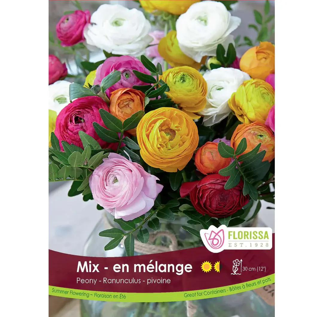 RANUNCULUS PEONY MIX