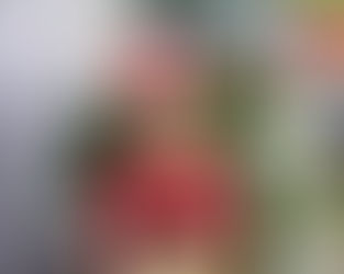 Merry Christmas and Happy New Year