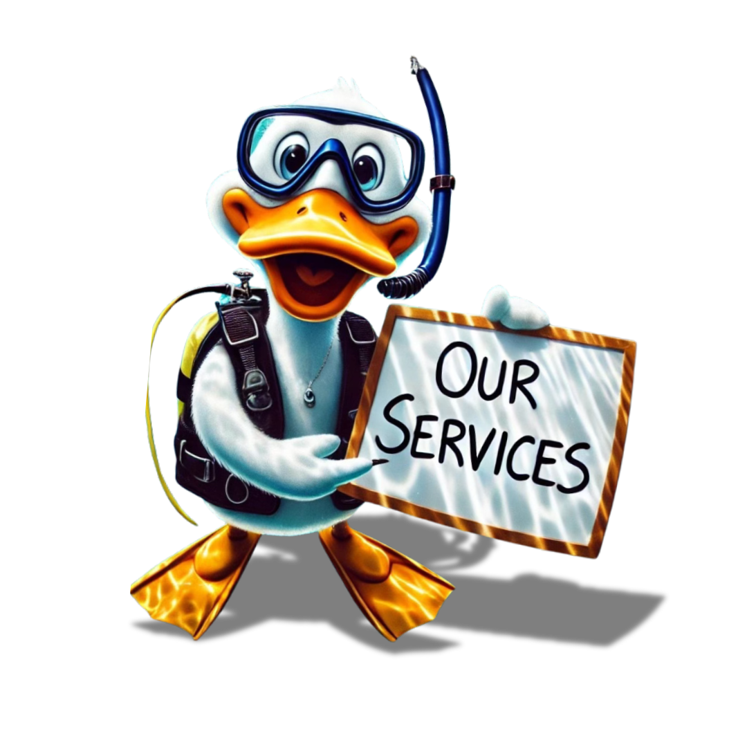 Duck - Our Services